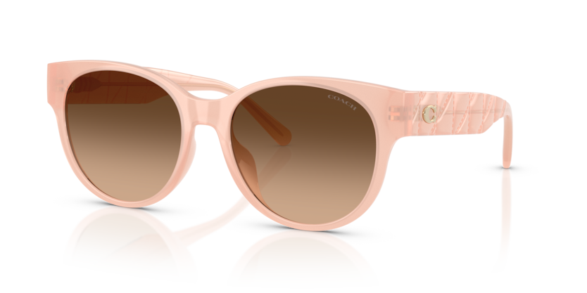 Coach HC8430D Cae87 Sunglasses
