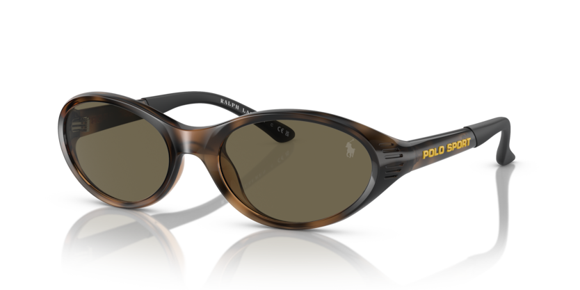 Polo PH4197U  Sunglasses