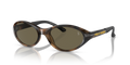 Polo PH4197U  Sunglasses