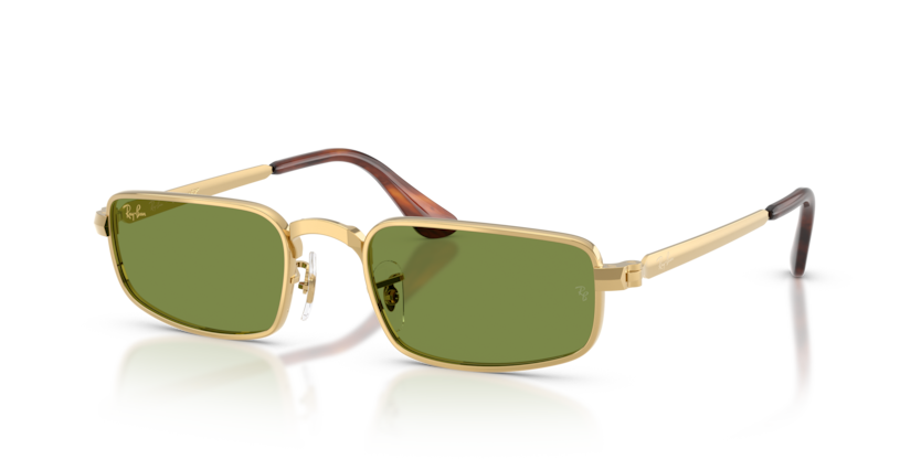 Ray-Ban RB3927  Sunglasses