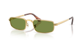 Ray-Ban RB3927  Sunglasses