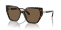 Swarovski SK6016  Sunglasses
