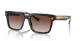 Vogue VO5573S  Sunglasses