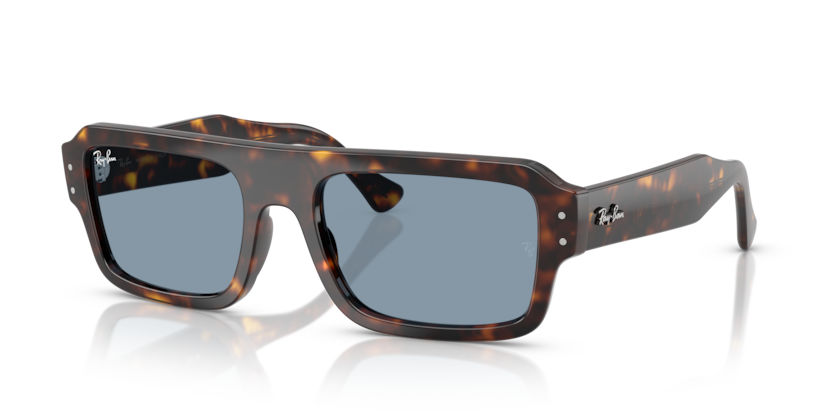 Ray-Ban RB4454 Flacko Sunglasses