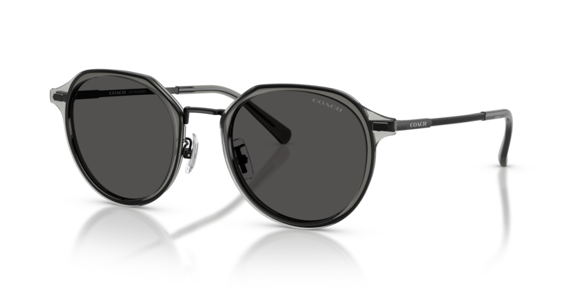 Coach HC7183 Cbz97 Sunglasses