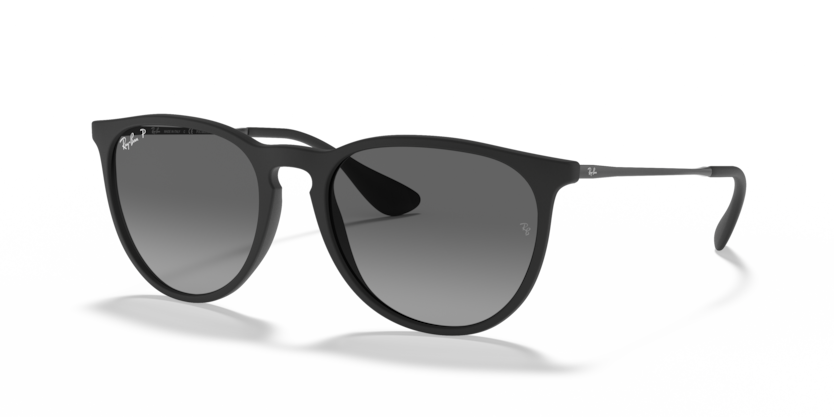 Ray-Ban RB4171 Erika Sunglasses