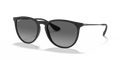 Ray-Ban RB4171 Erika Sunglasses