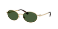 Swarovski SK7033  Sunglasses