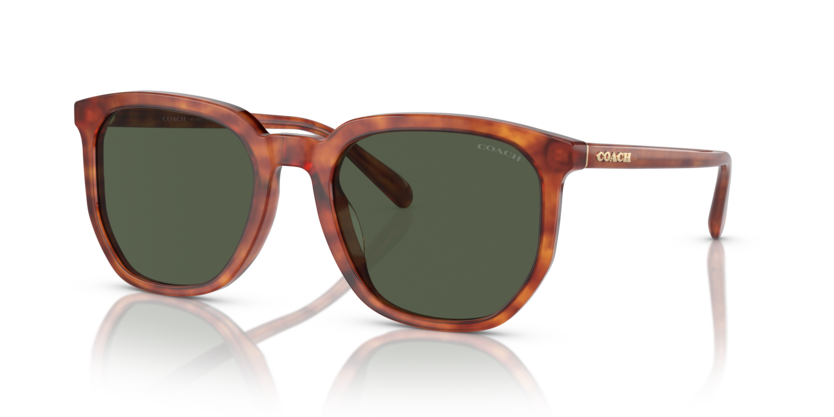 Coach HC8384U Cl911 Sunglasses