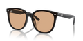 Ray-Ban RB4423D  Sunglasses