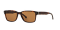 Brooks Brothers BB 725S  Sunglasses