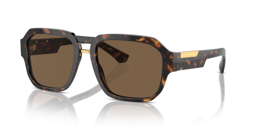 Dolce & Gabbana DG4464  Sunglasses