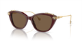 Swarovski SK6010  Sunglasses