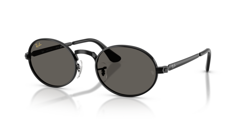 Ray-Ban RB3931  Sunglasses