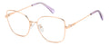 Polaroid PLD D521/G Eyeglasses