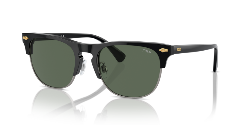 Polo PH4213  Sunglasses