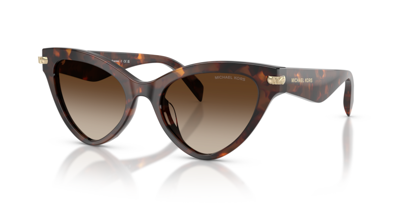 Michael Kors MK2259U Roanoke Sunglasses