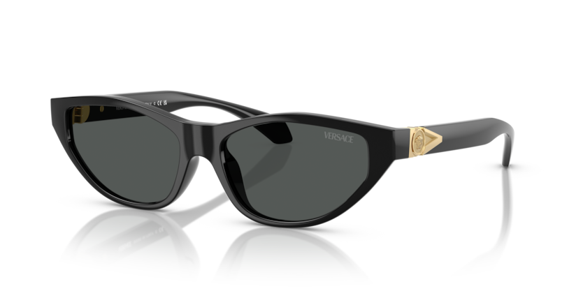 Versace VE4491U  Sunglasses