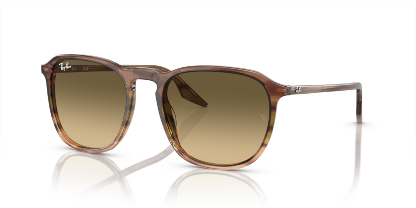 Ray-Ban RB2203  Sunglasses