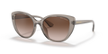 Armani Exchange AX4111SU  Sunglasses