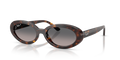 Ray-Ban RB2223  Sunglasses