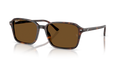 Ray-Ban RB2231F Raimond Sunglasses