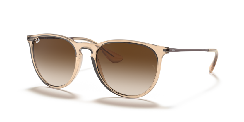 Ray-Ban RB4171 Erika Sunglasses