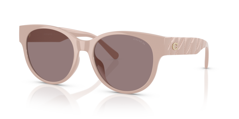 Coach HC8430D Cae87 Sunglasses