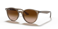 Ray-Ban RB4305  Sunglasses