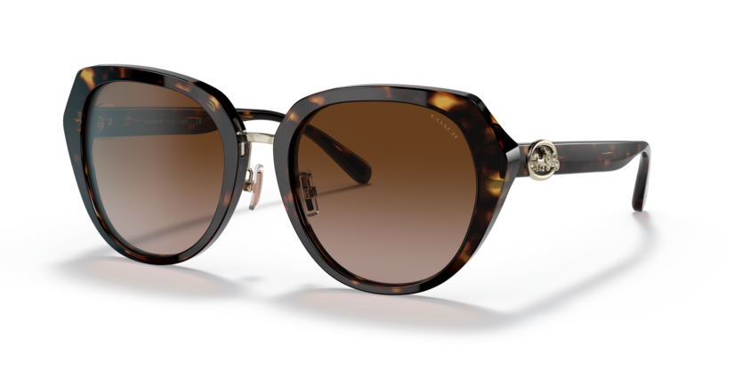 Coach HC8331 C6189 Sunglasses