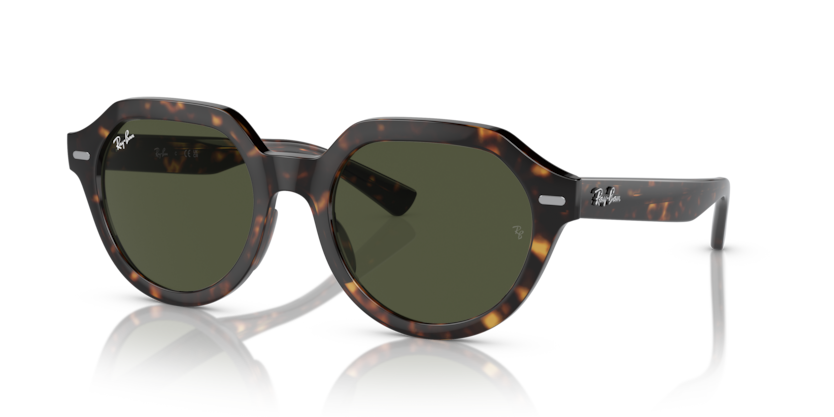 Ray-Ban RB4399 Gina Sunglasses