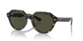 Ray-Ban RB4399 Gina Sunglasses