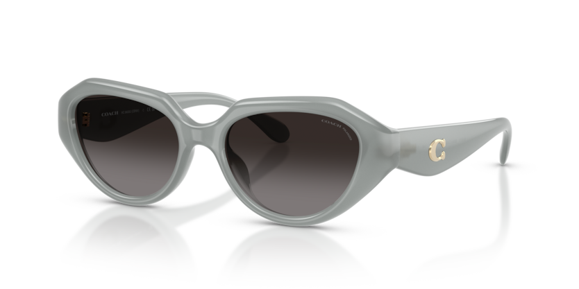 Coach HC8433U Cby77 Sunglasses