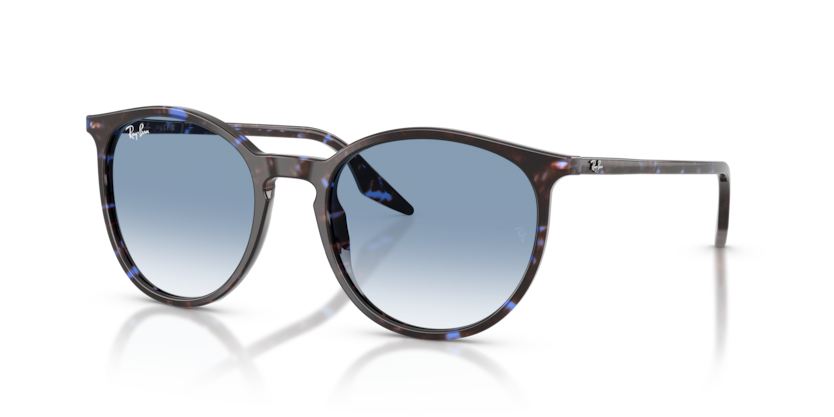Ray-Ban RB2204  Sunglasses