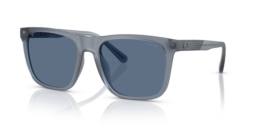 Coach HC8427U Cae78 Sunglasses