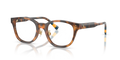 Polo PH2303F  Eyeglasses