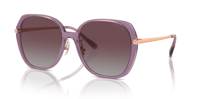Coach HC8403D Cr636 Sunglasses