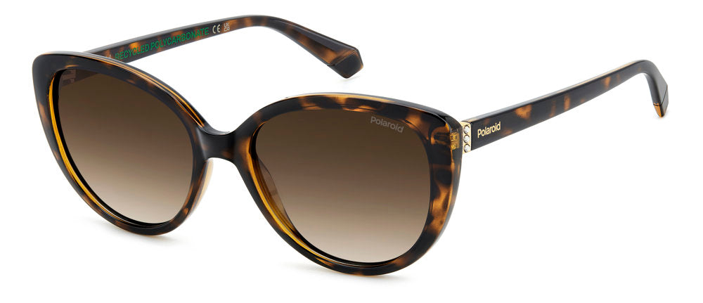 Polaroid Pld 4176/s/x Sunglasses