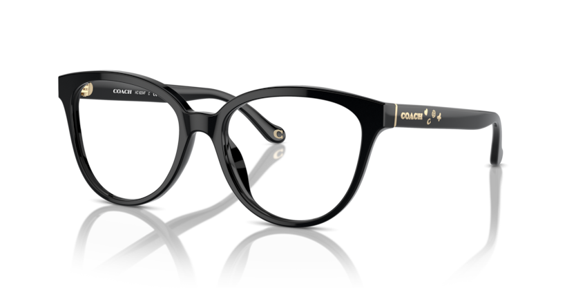 Coach HC6234F  Eyeglasses
