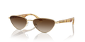 Emporio Armani EA2153  Sunglasses