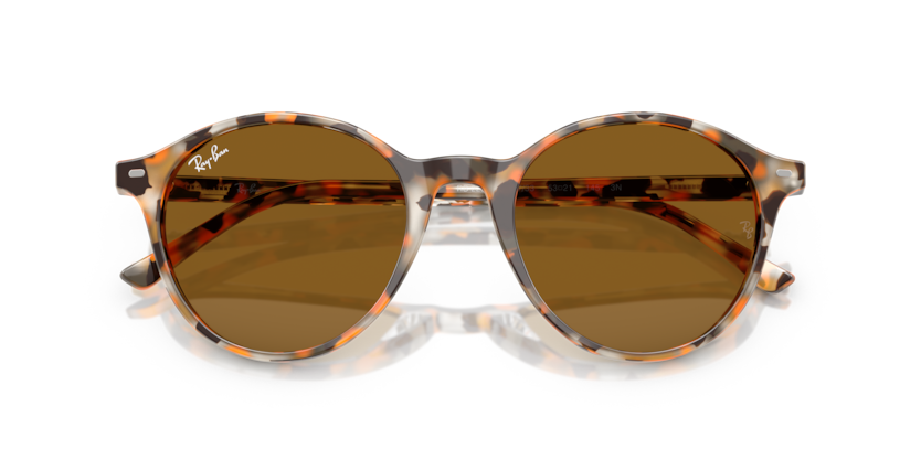 Ray-Ban RB2230 Bernard Sunglasses