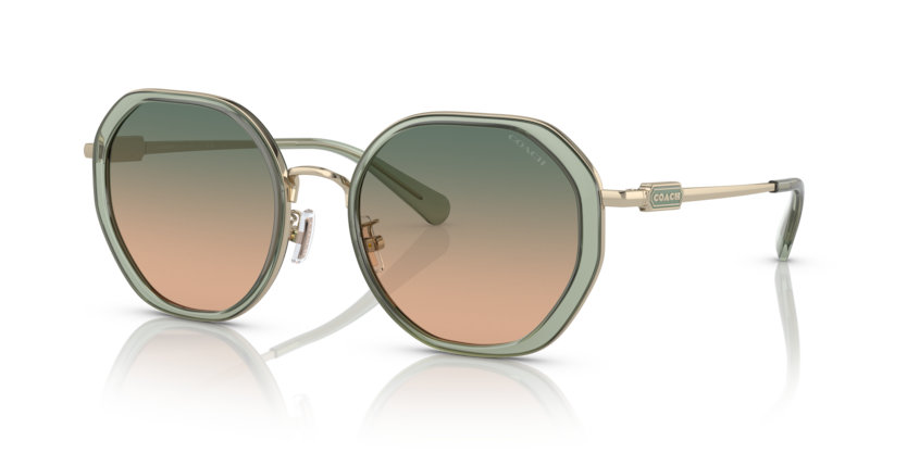 Coach HC7141 Cd477 Sunglasses