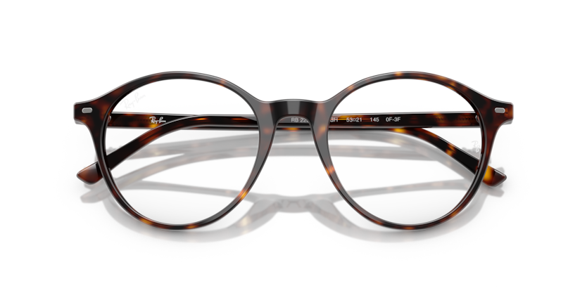 Ray-Ban RB2230 Bernard Sunglasses
