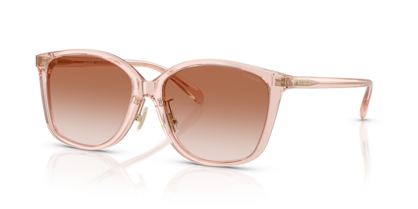 Coach HC8361F Ch617 Sunglasses