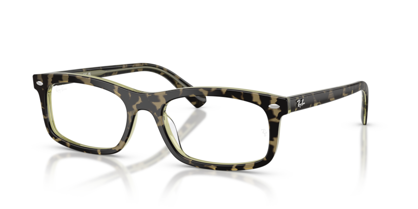 Ray-Ban Vista RX5450  Eyeglasses