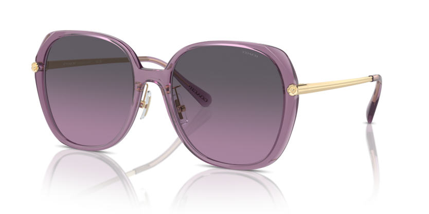 Coach HC8403D Cr636 Sunglasses