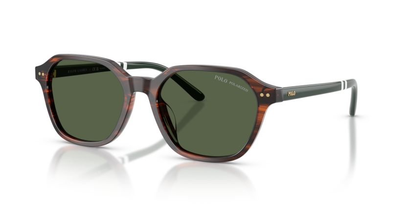 Polo PH4234U  Sunglasses