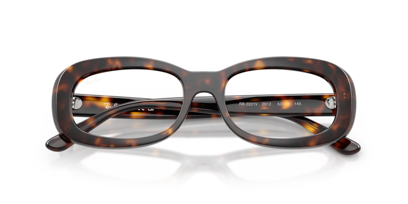 Ray-Ban Vista RX2221V  Eyeglasses