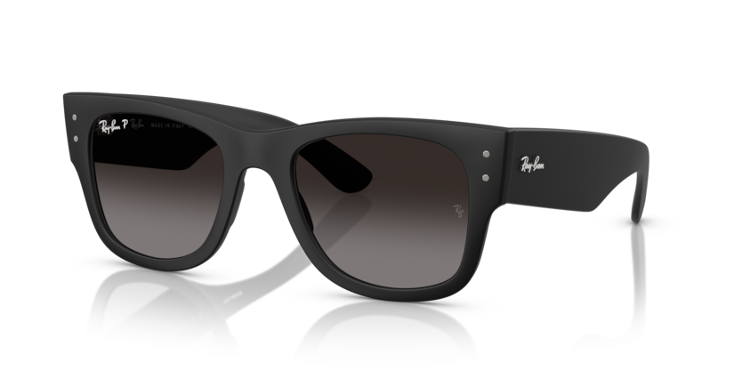 Ray-Ban RB4840S  Sunglasses