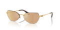Swarovski SK7038  Sunglasses